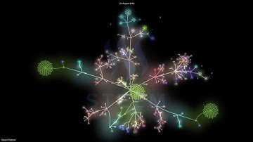 Flourishing Steem 20180901