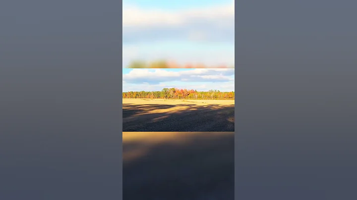 Beautiful Scenic View Of Autumn Leaves!