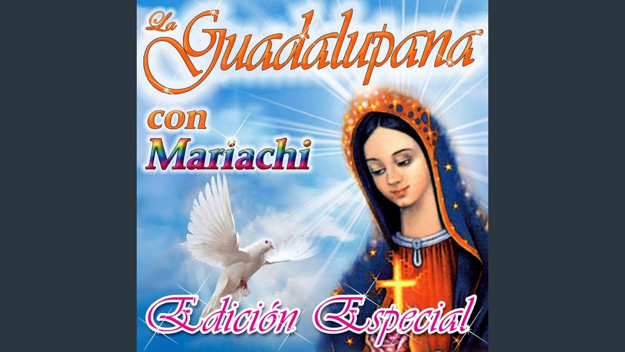 Buenos Días Paloma Blanca