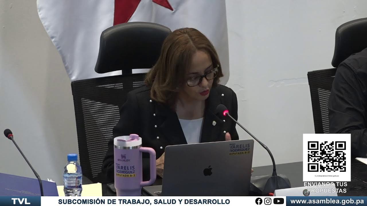 SUBCOMISIÓN DE TRABAJO, SALUD Y DESARROLLO SOCIAL