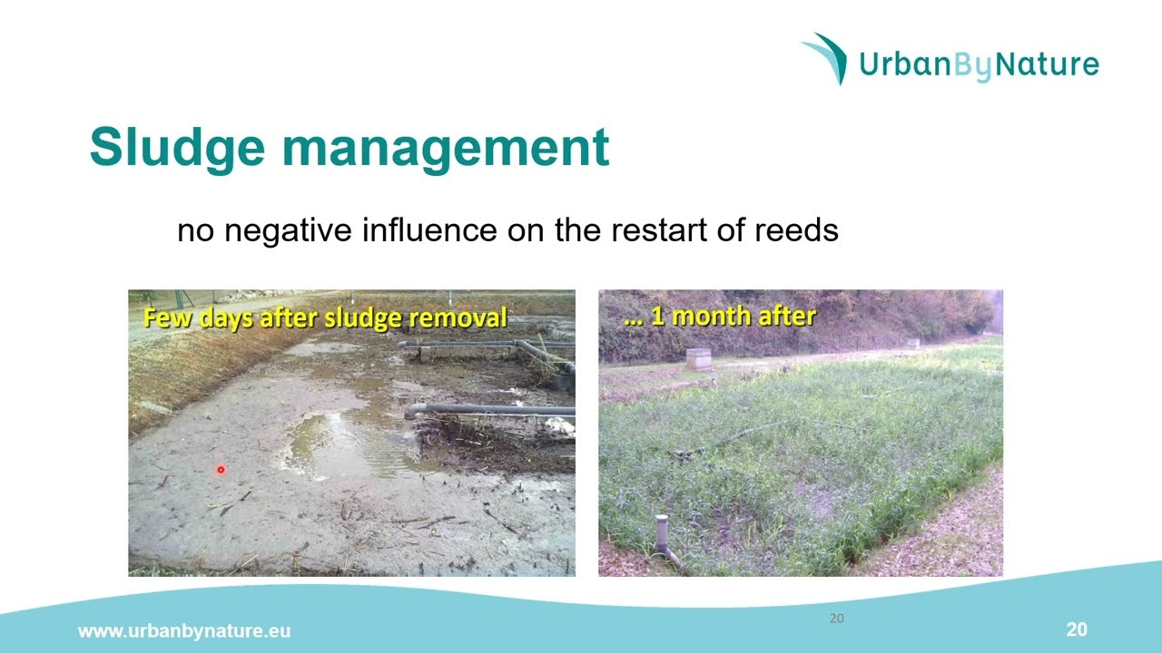 4th NICE Capacity-Building: webinar 1 - Construction and operation of TW treating raw sewage