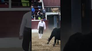 IMPRESIONANTE SALTO A UN TORO DE ROBER  #recortes #torosbravos