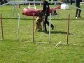 Ref:qRBetk2frfk Concours agility du 20 avril 2013 - c�cile