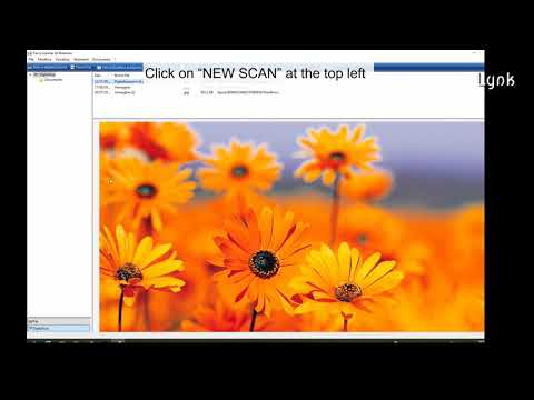 Video: Aggiorna Office 2003-2010 su XP o eseguili fianco a fianco