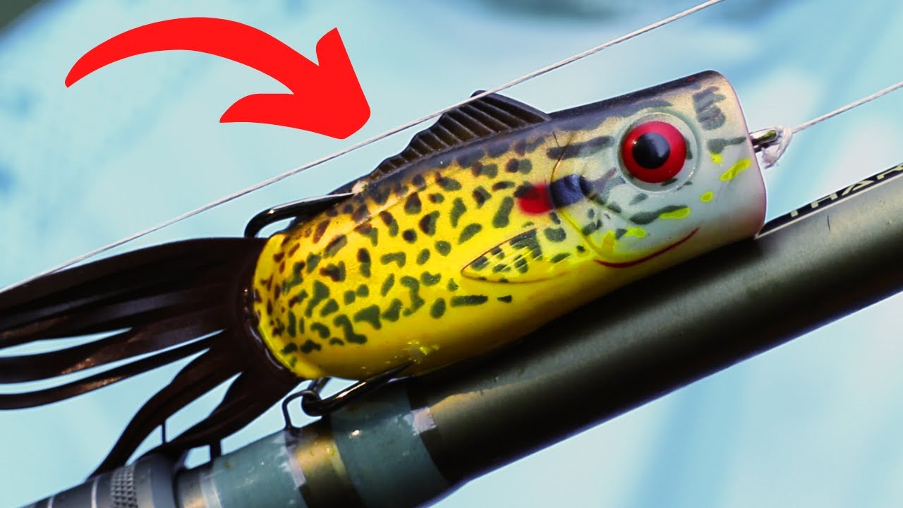 FROG Tricks That Will Catch BIG BASS 