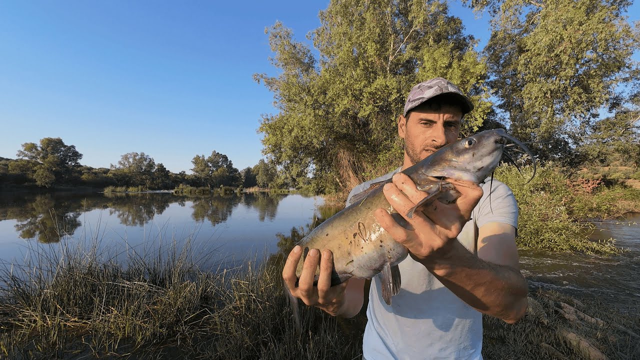PESCA NO RIO GUADIANA... MUITO PEIXE NA CORRENTE.