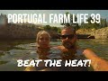 Portugal Farm Life - 39 - Beat the Heat! Castelo Novo, Praia Fluvial, Summer