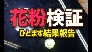 【実験ch】べったり花粉を洗浄・ひとまず結果報告（４）