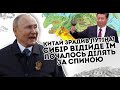 Китай зрадив Путіна! Сибір відійде їм: почалось. Ділять за спиною - РФ трясе