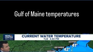 Chilly ocean cools Maine coast