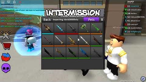 [ZICKOI PLS WATCH THIS] ROBLOX ASSASSIN HACKER!!