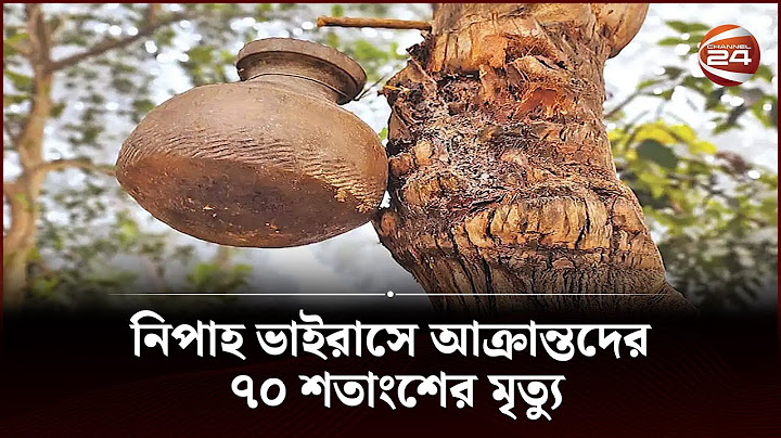 দেশের ২৮ জেলায় ছড়িয়েছে নিপাহ ভাইরাস | NAOGOAN | Channel 24