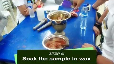 Determination of Shrinkage Limit