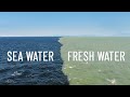 Freshwater Meets Seawater The Science Behind Mixing Zones