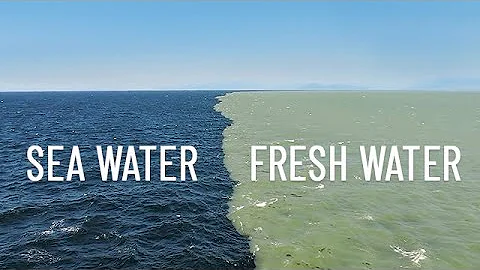 Fresh Water Meets Sea Water – Boundary Explained - DayDayNews