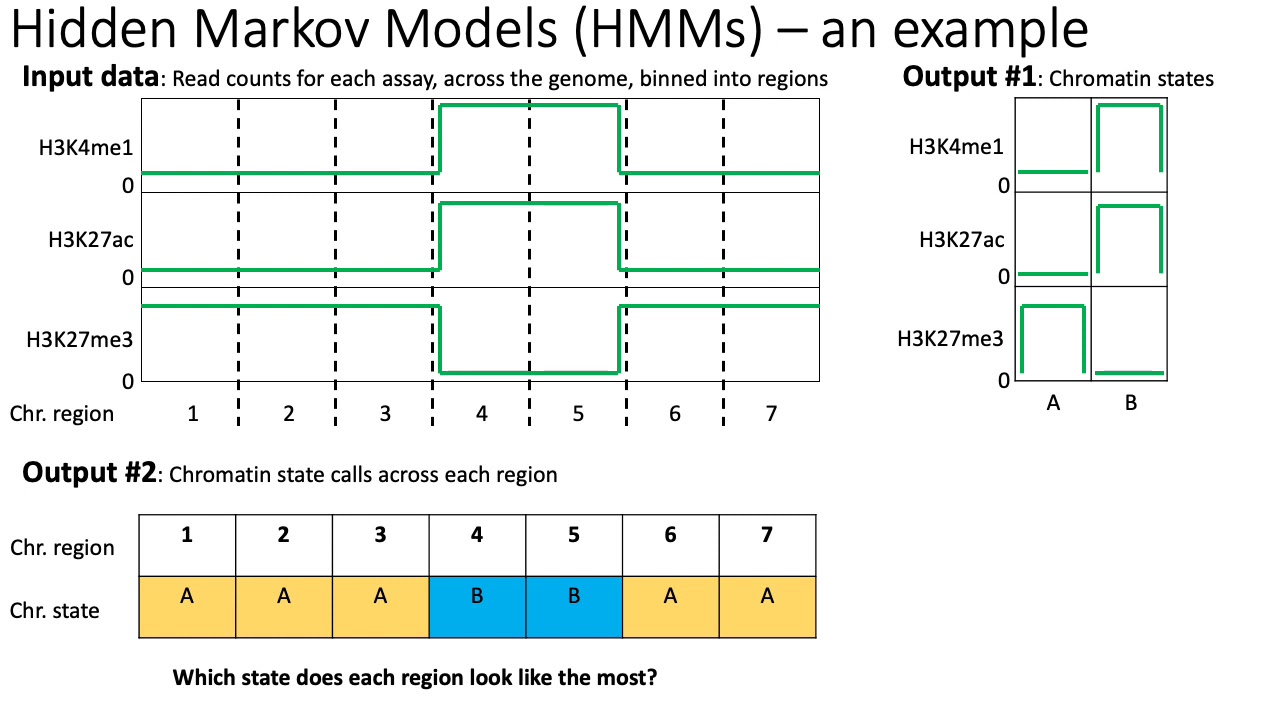 MCB 182 Lecture 8.5 - Chromatin states