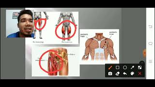 PJK Ting 3 - Komponen Kecergasan Berdasarkan Kesihatan (Senaman Kelenturan)