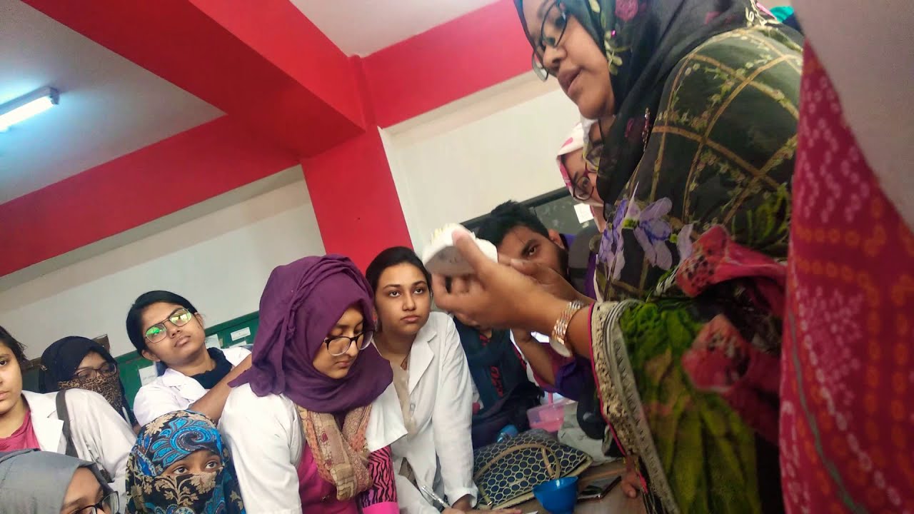 Orthodontics (viva related questions) for final year BDS professional