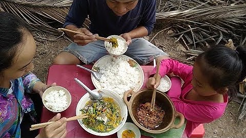 CÁ LÓC ĐỒNG NẤU CANH CHUA BÔNG ĐIÊN ĐIỂN KHO TIÊU HƯƠNG VỊ ĐỒNG QUÊ SANH TV