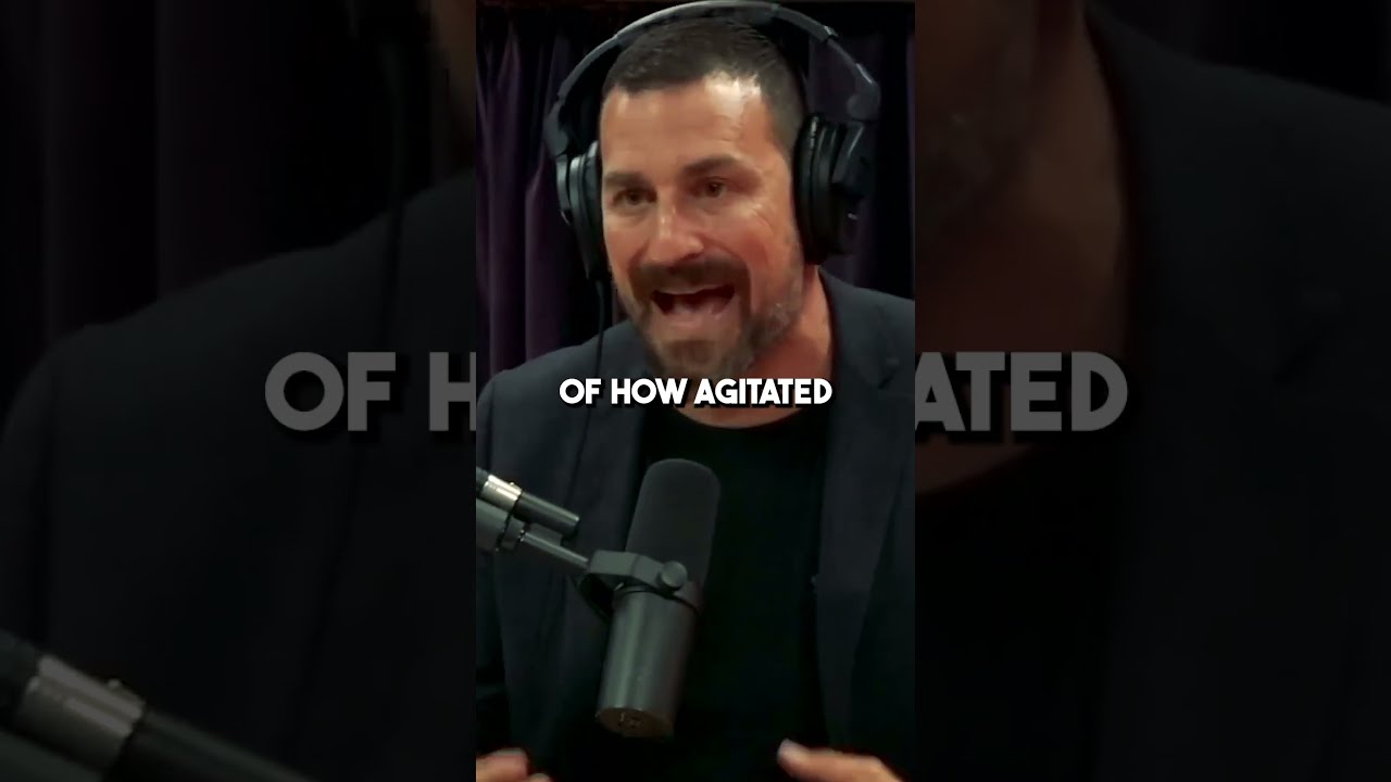Neuroscientist How To Learn New Skills As Adult Andrew Huberman Neuroscience Shorts Joerogan