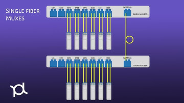 What are CWDM DWDM Passive Multiplexers?