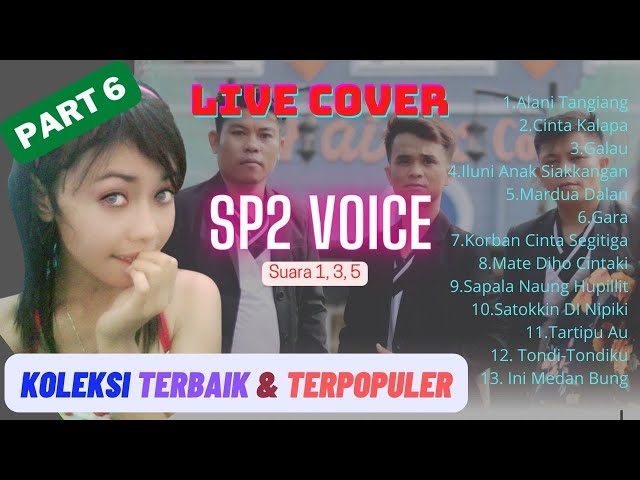 SP2 Live Cover Part 6 | Koleksi Lagu Batak Terbaik & Terpopuler Sepanjang Masa | Nonstop bebas iklan class=