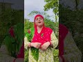 🕋🕋🕋🕋##
