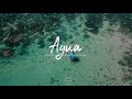 (FREE) AGUA 🍍 - WizKid x J Balvin Type Beat | Dancehall Afrobeat Instrumental