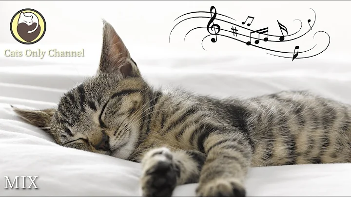 10 Hours of Relaxing Music for Cats - Harp Music to Calm Cats