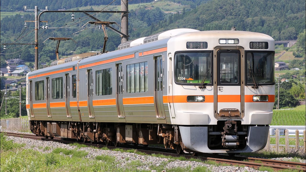JR飯田線(CD) 1503M 伊那松島行き 313系1300番台 海カキR204編成 #飯田