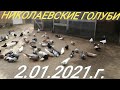 " ГОЛУБИ - В ГОСТЯХ У АЛЕКСАНДРА ДЕРКАЧ " 2.01.2020.г.