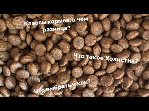 Чем отличаются корма эконом, премиум и суперпремиум классов? Что такое Холистик?