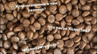 Чем отличаются корма эконом, премиум и суперпремиум классов? Что такое Холистик?