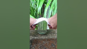 💦Tissue- കൊണ്ട് ഇങ്ങനെയും ചെയ്യാം😱water vs tissue paper #shorts #short #trending #viral #vs