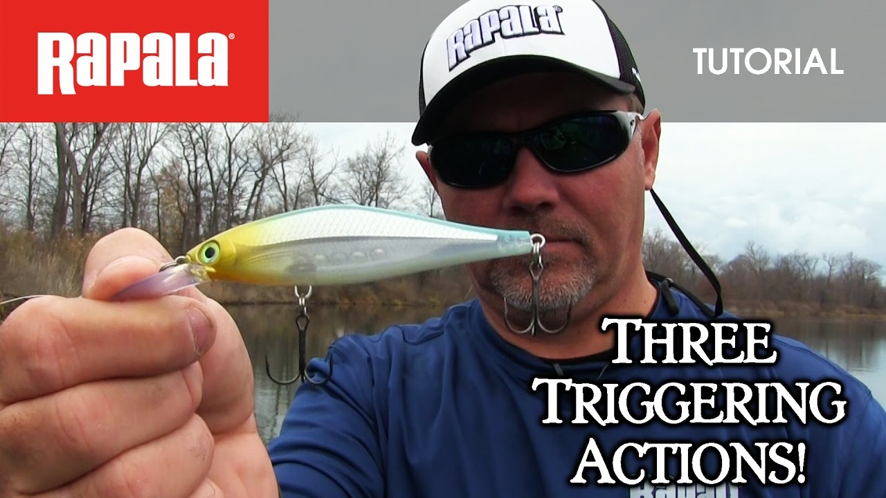The Three Triggering Actions of the Rapala® Shadow Rap® Shad