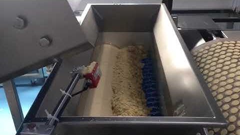 SINOBAKE SOFT BISCUIT PRODUCTION LINE/Rotary Moulder