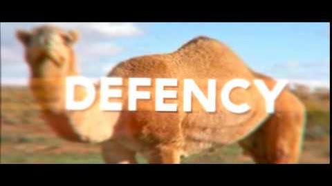 Intro ~ Defency (BEST!!!)