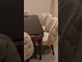 stylish modern dining table/stylish and beautiful colours combination