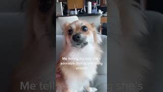 Shedding Season 🤝 Looking Bonita