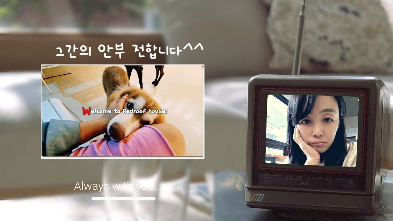 갱년기 한국 아줌마가 라오스에서 살아남는 법 How to survive menopause Korean aunty YouTube