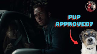 Drive Back (2024) Review