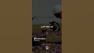 "الشيخ المنشاوي | تلاوة قصيرة تلامس الروح في لحظات #قرآن_كريم #إحساس #خشوع"