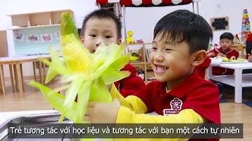 STEAMe GARTEN - Ngôi trường lấy trẻ làm trung tâm