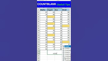 Count-blank Function in Excel