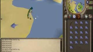DeltaScape | Fishing | Manta Rays