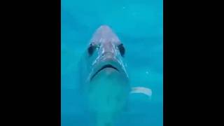 Порыбачим | Fish hobby