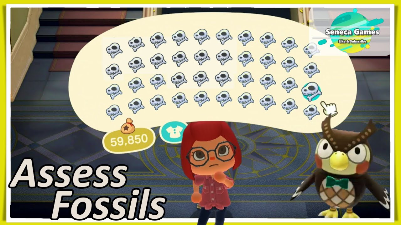 how to assess fossils animal crossing new horizons nintendo switch