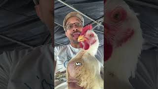 Woody chicken breast