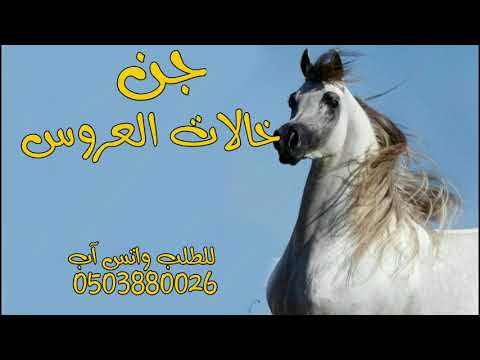 شيله خالات العروس جن خالات العروس اهلا ومرحا شيلات خالات العروس خلو الساحه حماسيه رقص جديده 