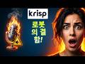 Krisp 리뷰 - AI 회의 어시스턴트: 3가지 극한 테스트! 🚀